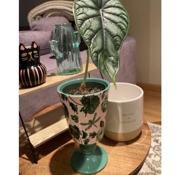 Papillon Vase - Picture 5 of 8